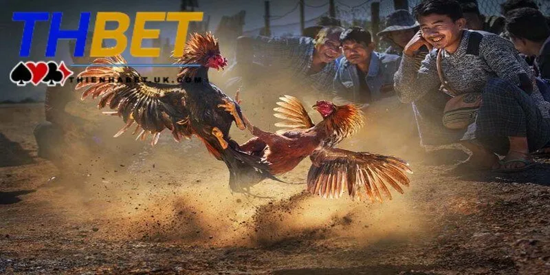 Tổng hợp những tựa game nổi bật và được ưa chuộng nhất tại đá gà Thienhabet